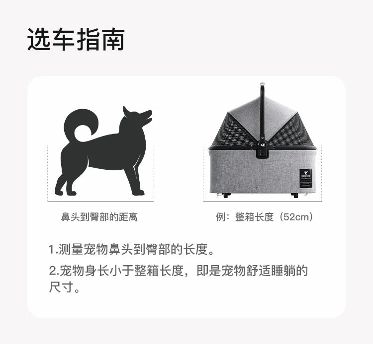 Auffälliger Hundewagen