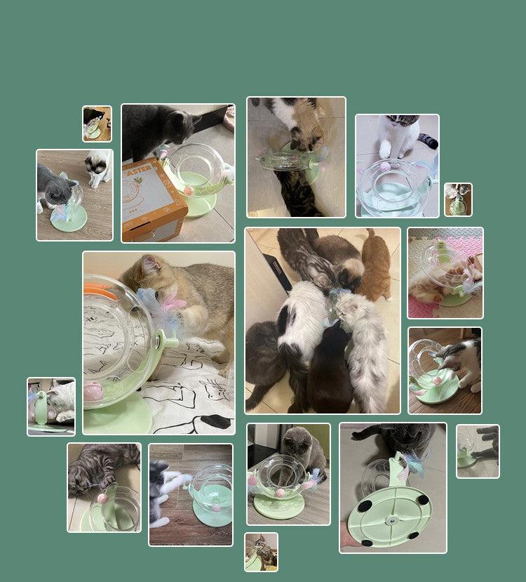 Automatic Self-Healing Cat Toy: Endless Fun And Boredom Relief-4