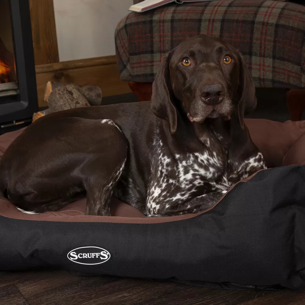 Expedition Box Dog Bed (in Chocolate Brown, Graphite Grey & Plum) by Scruffs-0
