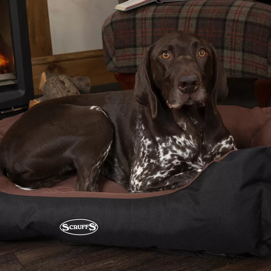 Expedition Box Dog Bed (in Chocolate Brown, Graphite Grey & Plum) by Scruffs-0