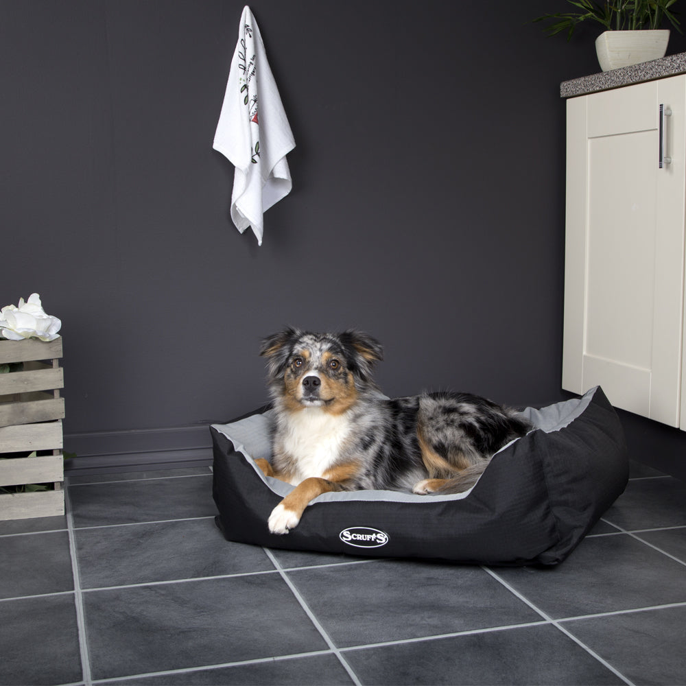 Expedition Box Dog Bed (in Chocolate Brown, Graphite Grey & Plum) by Scruffs-6