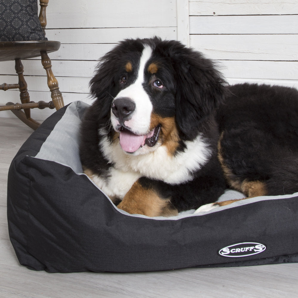 Expedition Box Dog Bed (in Chocolate Brown, Graphite Grey & Plum) by Scruffs-5