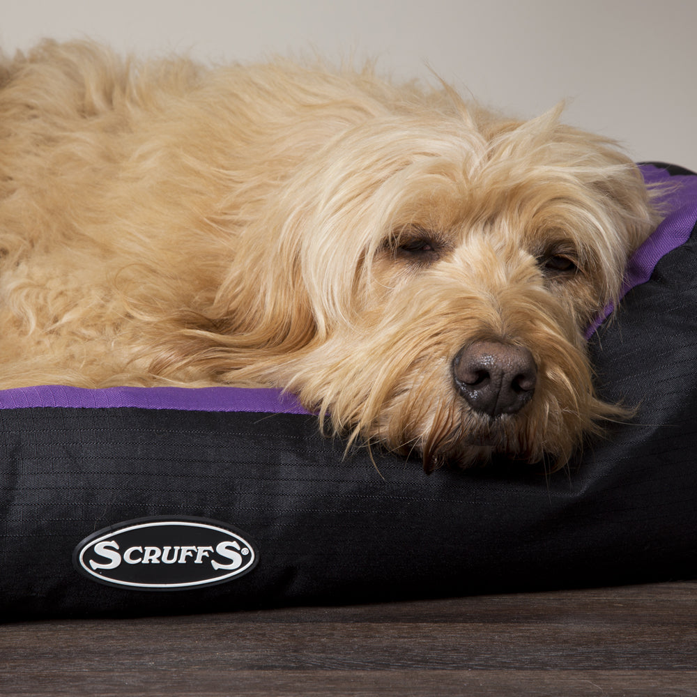Expedition Box Dog Bed (in Chocolate Brown, Graphite Grey & Plum) by Scruffs-8