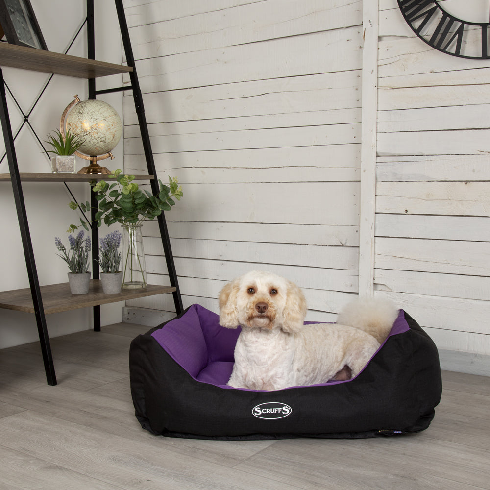 Expedition Box Dog Bed (in Chocolate Brown, Graphite Grey & Plum) by Scruffs-7