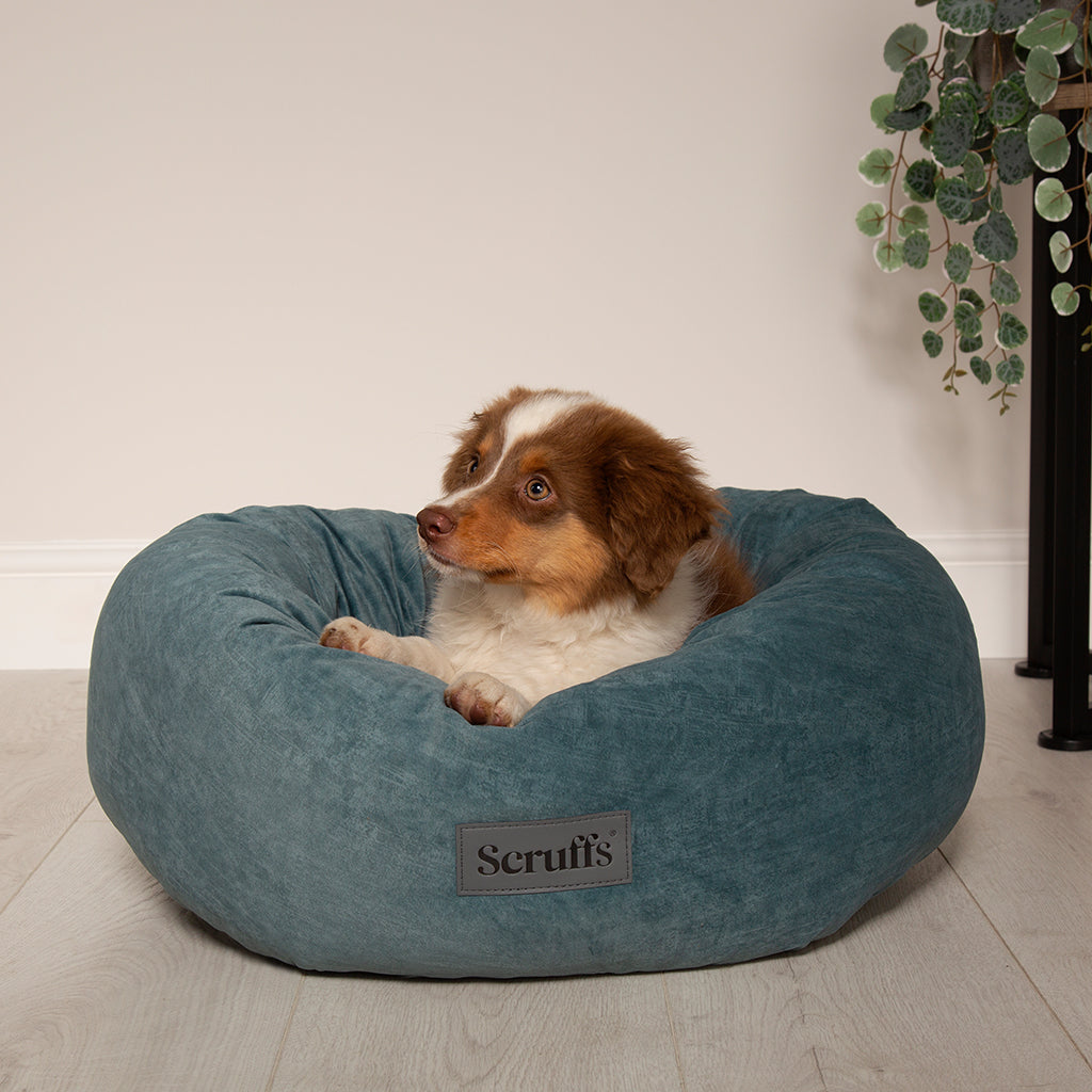 Oslo Ring Dog Bed (in Blush Pink, Desert Sand, Lake Teal or Stone Grey) by Scruffs-1