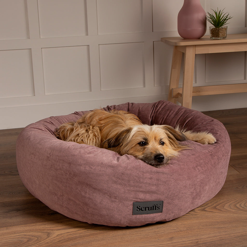 Oslo Ring Dog Bed (in Blush Pink, Desert Sand, Lake Teal or Stone Grey) by Scruffs-10