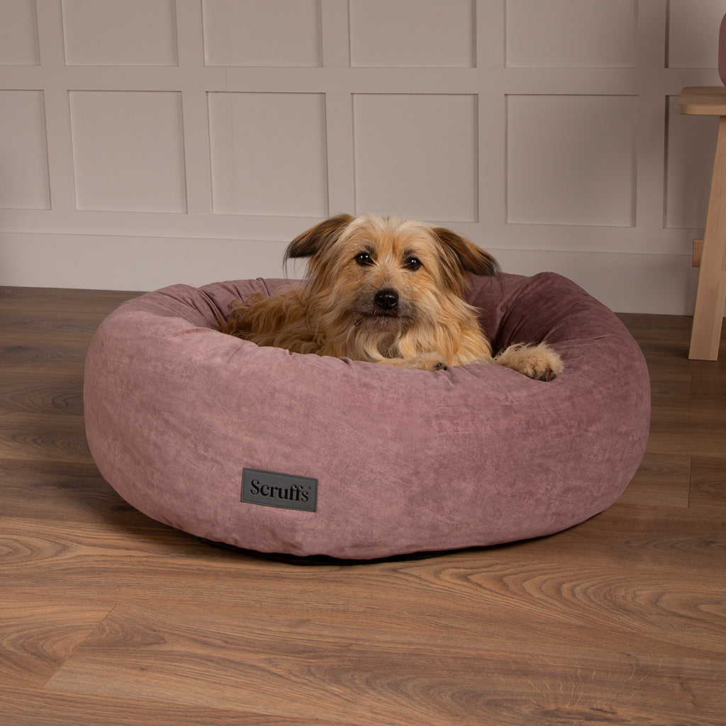 Oslo Ring Dog Bed (in Blush Pink, Desert Sand, Lake Teal or Stone Grey) by Scruffs-6
