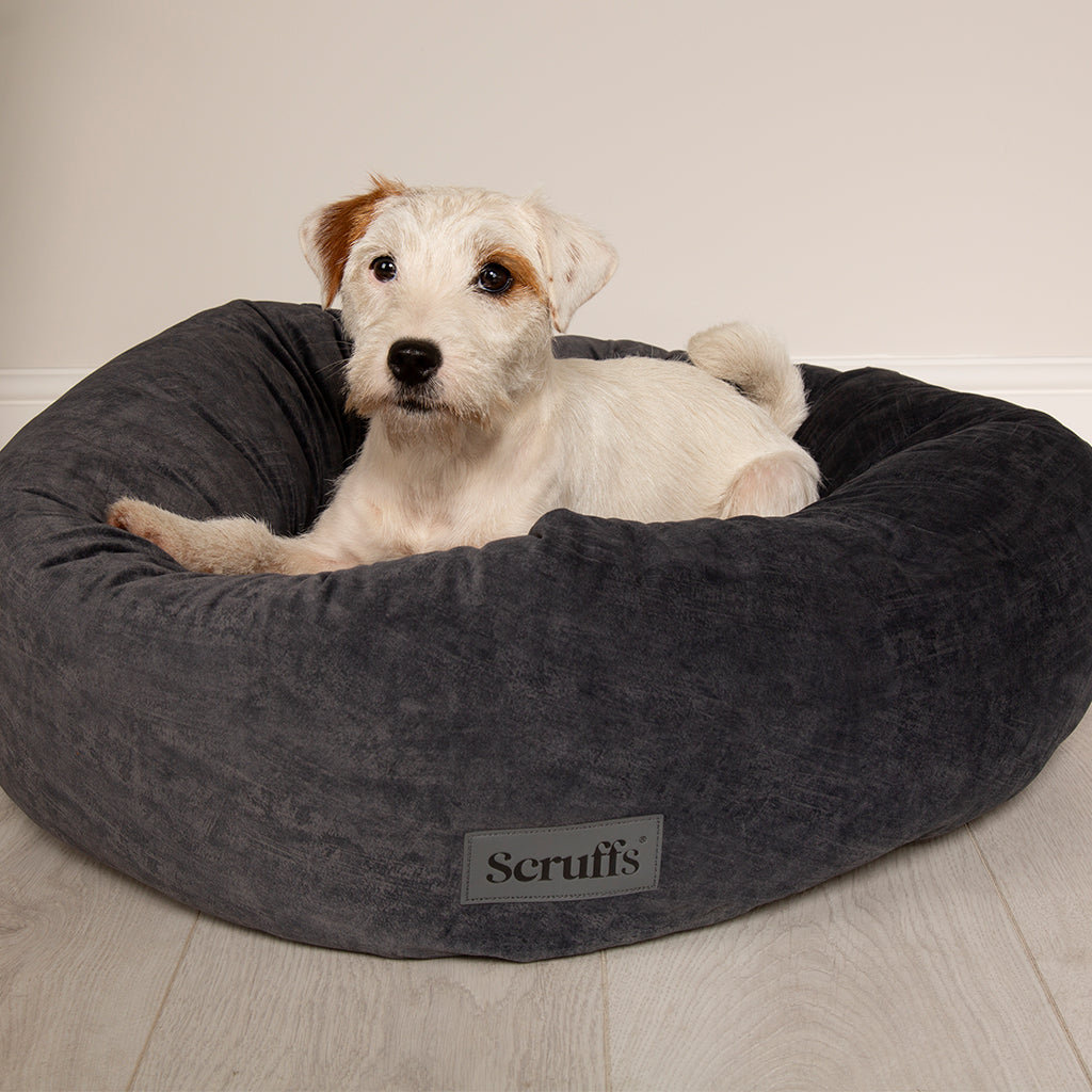 Oslo Ring Dog Bed (in Blush Pink, Desert Sand, Lake Teal or Stone Grey) by Scruffs-9