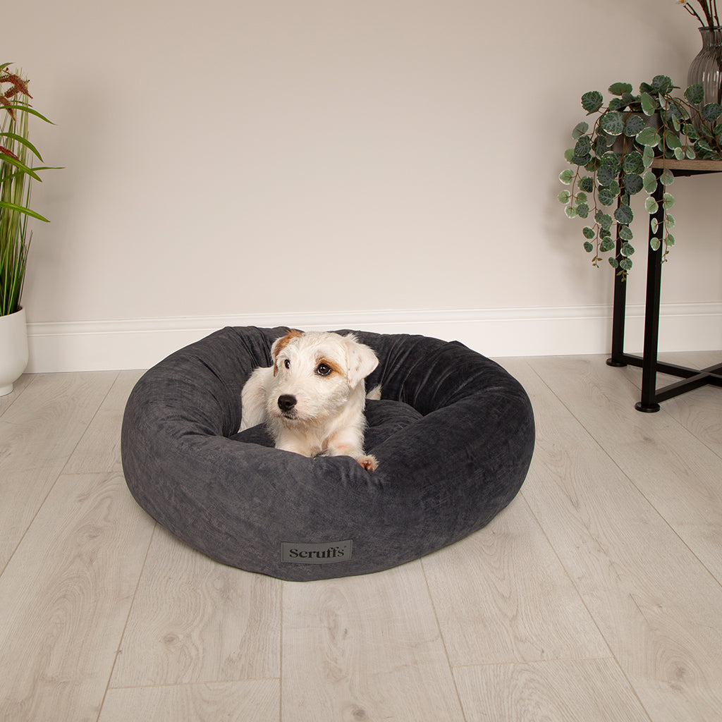 Oslo Ring Dog Bed (in Blush Pink, Desert Sand, Lake Teal or Stone Grey) by Scruffs-13