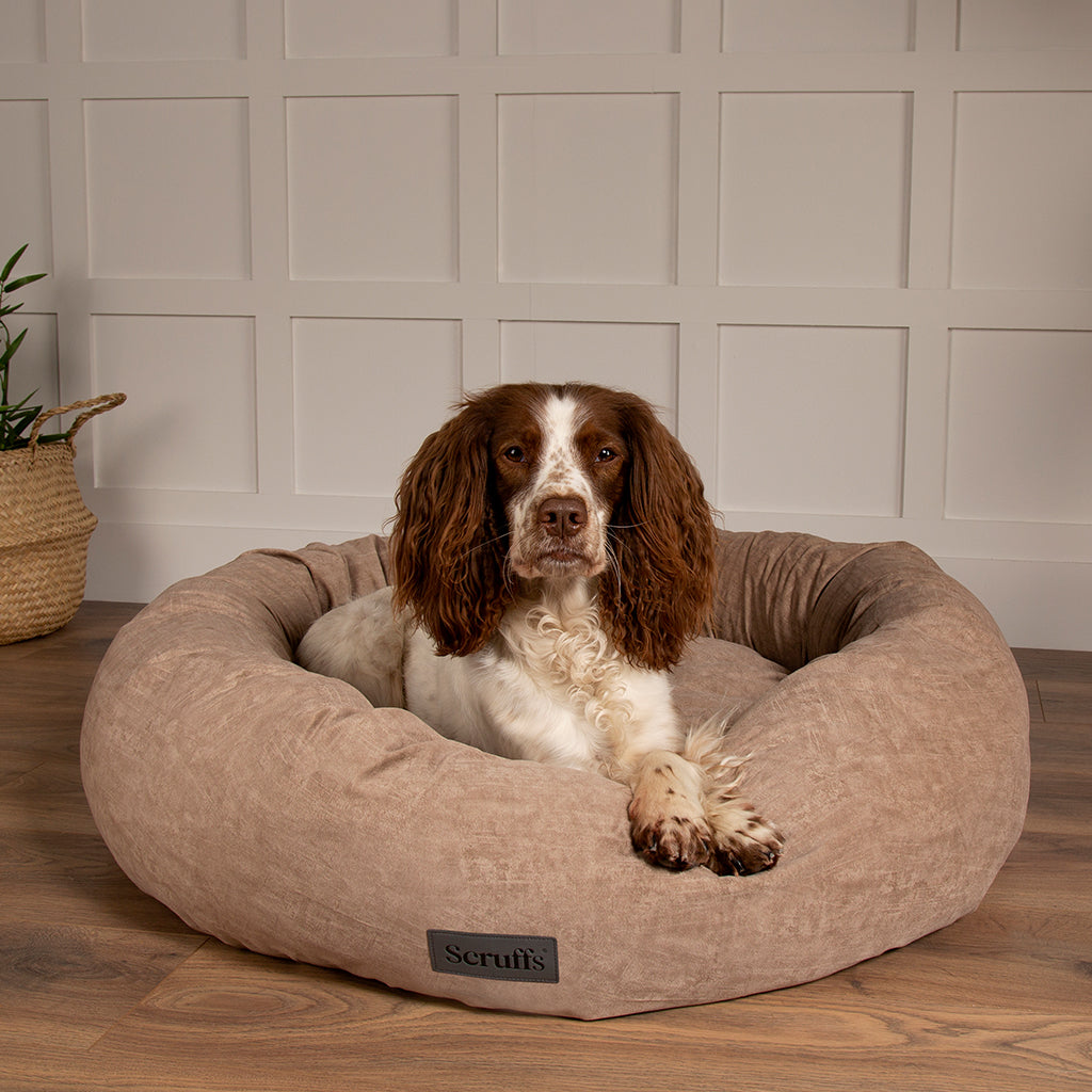 Oslo Ring Dog Bed (in Blush Pink, Desert Sand, Lake Teal or Stone Grey) by Scruffs-11