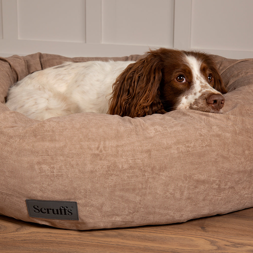 Oslo Ring Dog Bed (in Blush Pink, Desert Sand, Lake Teal or Stone Grey) by Scruffs-12