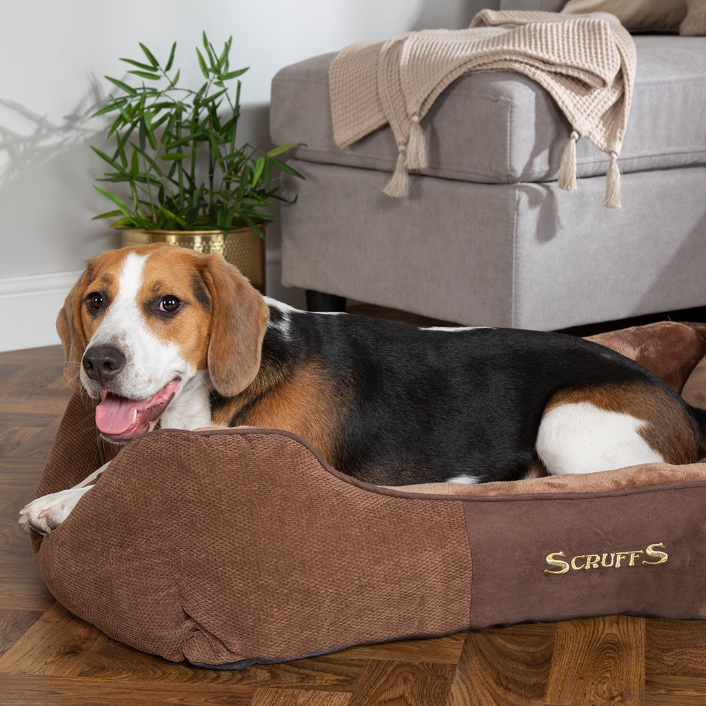 Chester Box Dog Bed (in Chocolate Brown, Dark Grey or Graphite Grey) by Scruffs-4