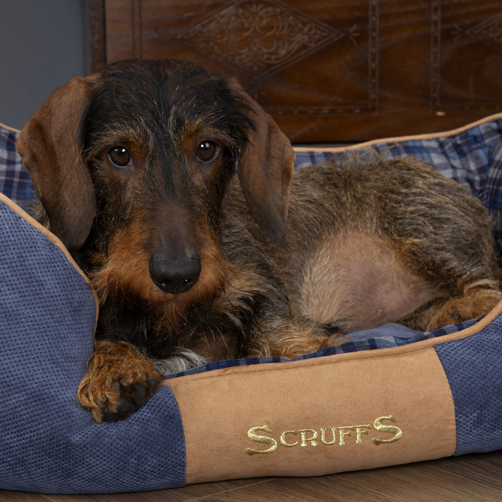 Highland Box Dog Bed (in Blue or Red) by Scruffs-8
