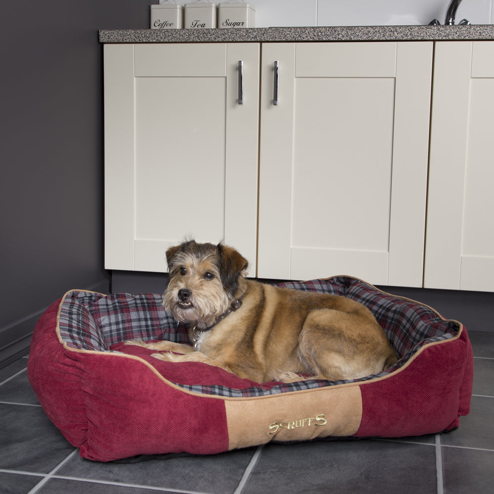 Highland Box Dog Bed (in Blue or Red) by Scruffs-5