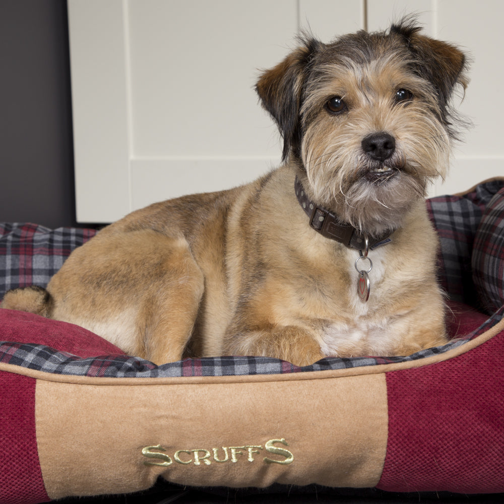 Highland Box Dog Bed (in Blue or Red) by Scruffs-3