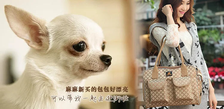 Wunderschöne klassische Hundetragetasche