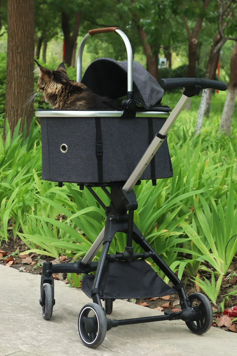 Außergewöhnlicher Hundewagen mit Abnehmbarem Aufsatz