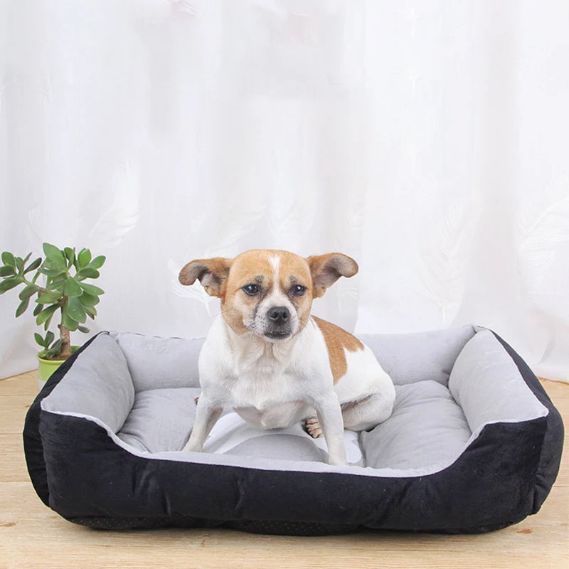 Kuschliges Hundebett