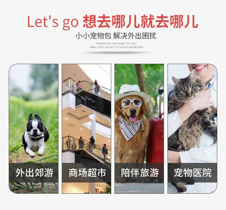 Wunderschöne klassische Hundetragetasche