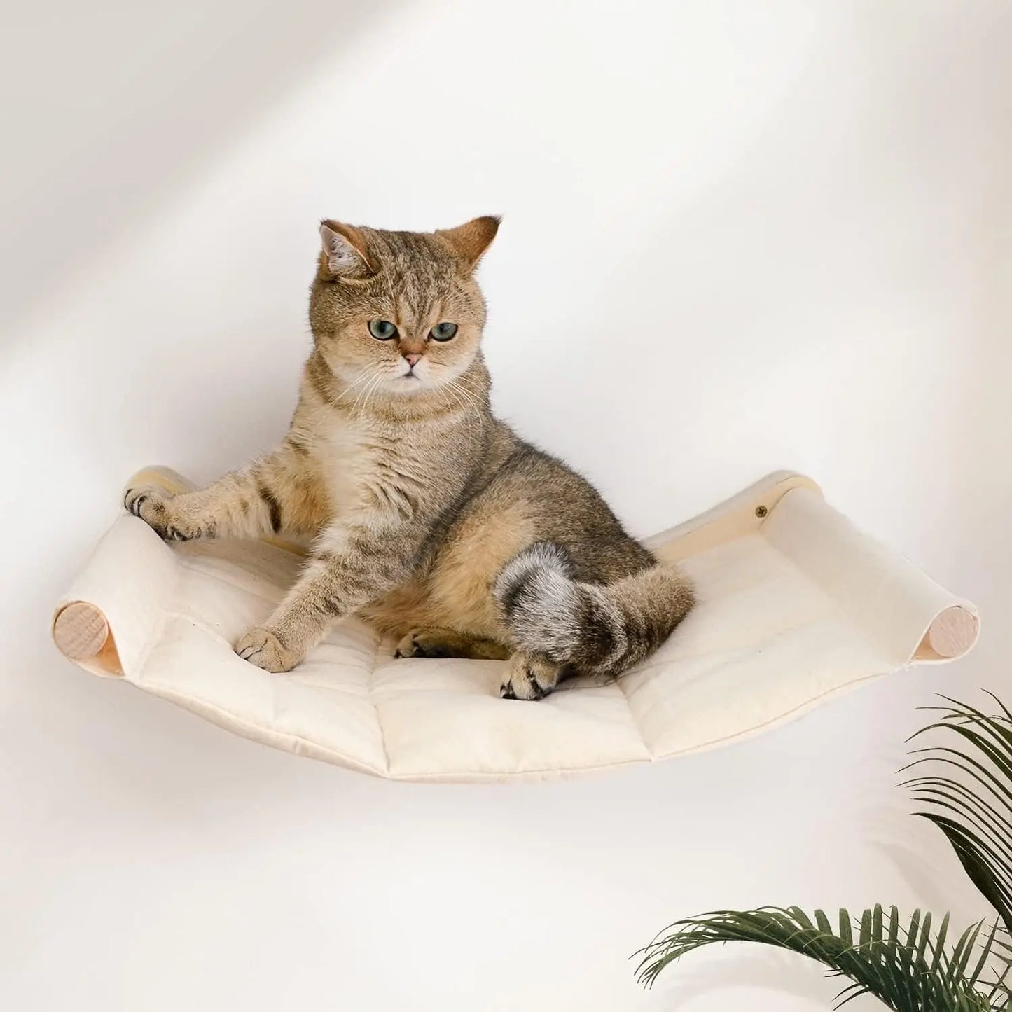 Cat Tree Tower Climbing Shelf Wall Mounted Jumping Platform Cat Hammock And Bed Easy-cleaning and Durable Ladders with Felt