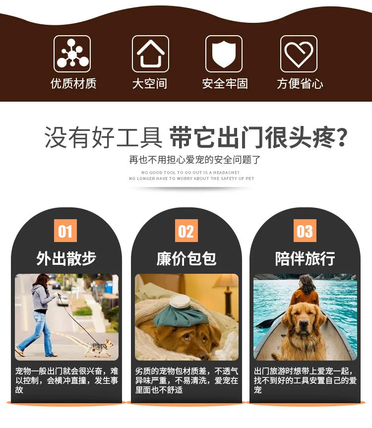 Wunderschöne klassische Hundetragetasche