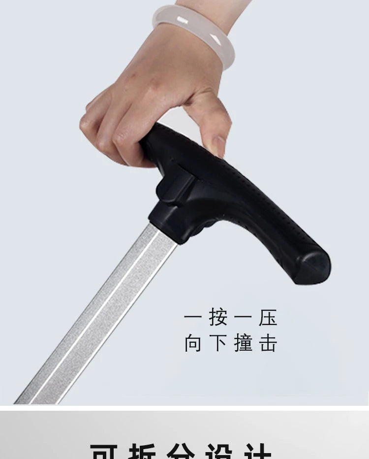 Außergewöhnlicher Hundewagen mit Abnehmbarem Aufsatz