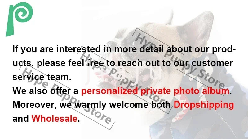 Sehr Stylische Hundetragetasche für Ihren Liebling