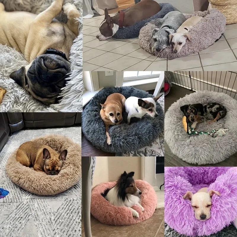 Rundes flauschiges Hundebett in dem sich Ihre Fellnase wohl fühlen wird.