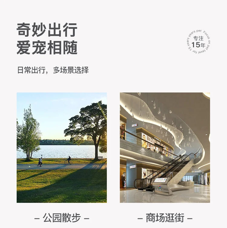 Auffälliger Hundewagen