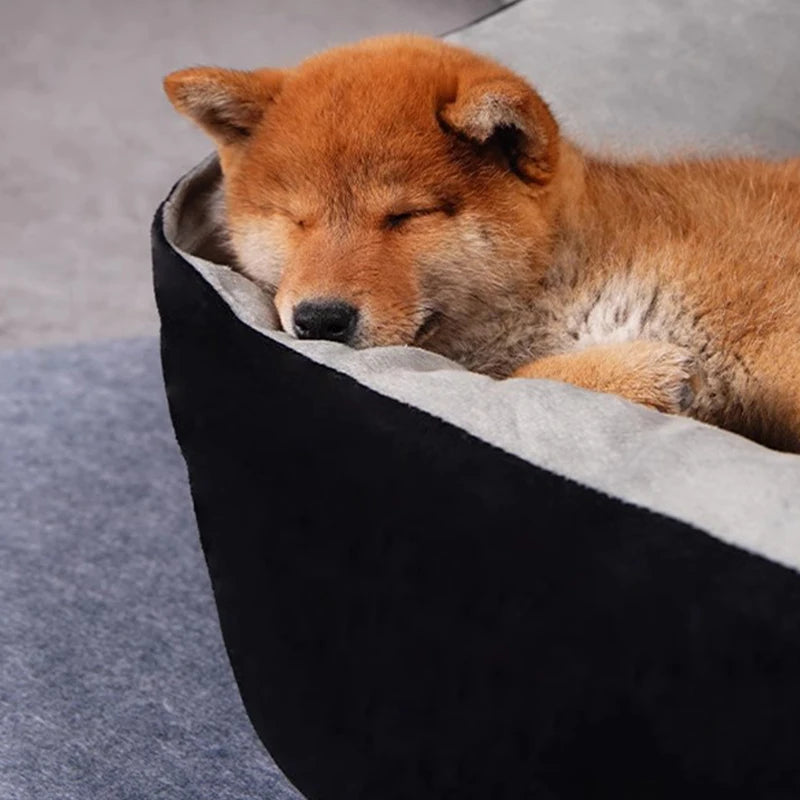 Kuschliges Hundebett