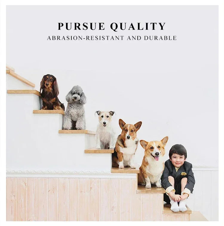 Transporttasche mit Netzeinsatz