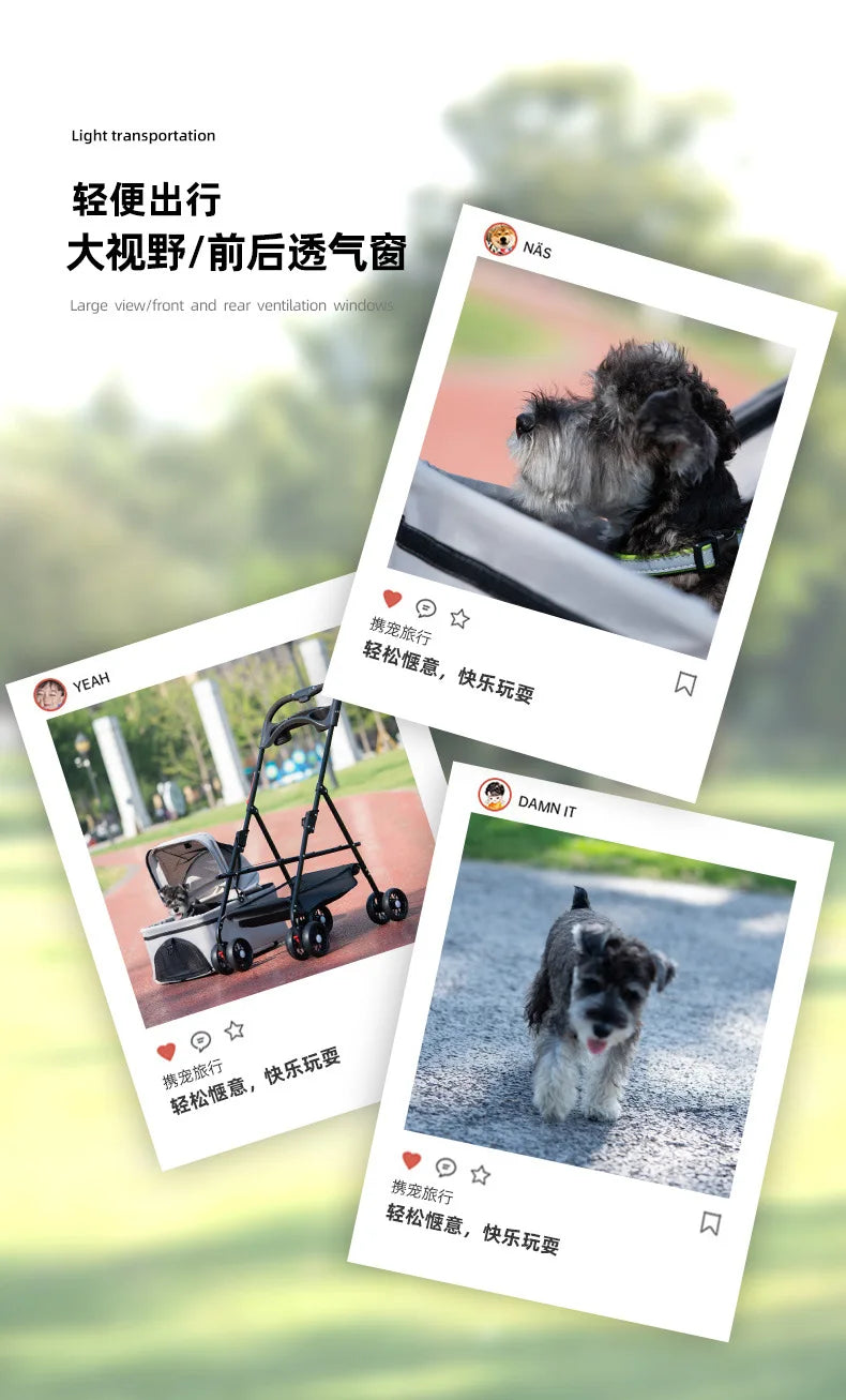 Kleiner handlicher  Hundewagen, die günstige Alternative